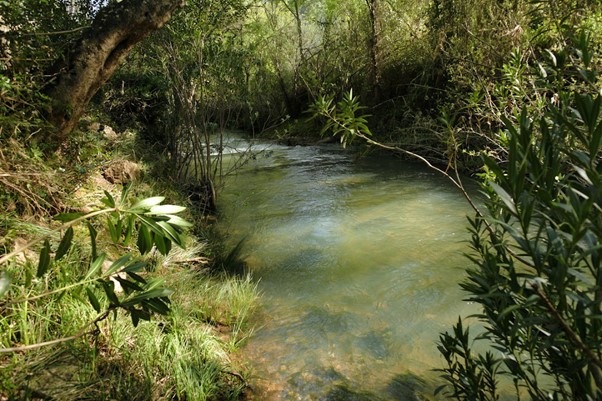 Fonte de Benemola
